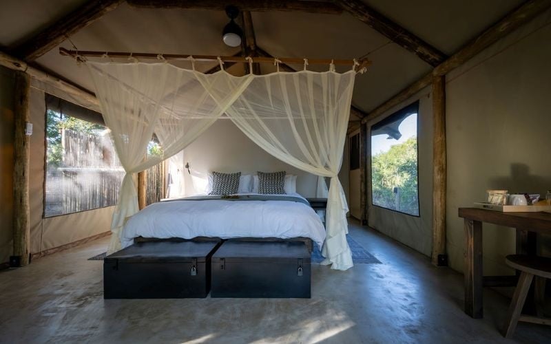Nkuwa Wilderness Camp 5
